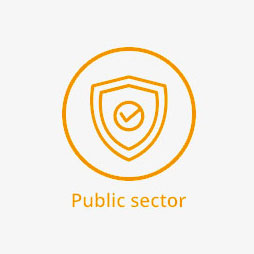 public-sector